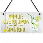 Life Gives You Lemons Make Gin & Tonic Novelty Hanging Plaque