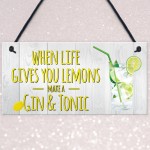 Life Gives You Lemons Make Gin & Tonic Novelty Hanging Plaque