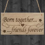 Born Together Friends Forever Twins Keepsake Gift Hanging Plaque