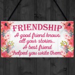 Friendship Stories Funny Best Friend Love Gift Hanging Plaque