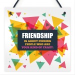 Friendship Your Kind Of Crazy Hanging Bestfriend Plaque Gifts