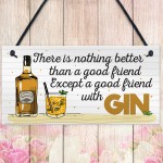 Friend With GIN Party Drink Gift Cocktail Novelty Hanging Plaque