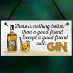 Friend With GIN Party Drink Gift Cocktail Novelty Hanging Plaque