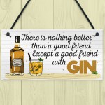 Friend With GIN Party Drink Gift Cocktail Novelty Hanging Plaque