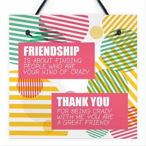 Crazy Friendship Sign Best Friend Hanging Plaque Thank You Gifts
