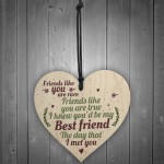 Rare Best Friends Friendship Sign Wood Heart Birthday Plaque 