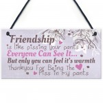 Friendship Sign Funny Birthday Keepsake Gift Hanging Wall Plaque