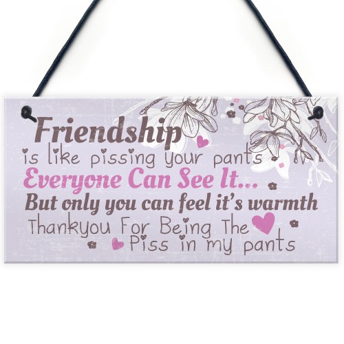 Friendship Sign Funny Birthday Keepsake Gift Hanging Wall Plaque