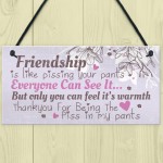 Friendship Sign Funny Birthday Keepsake Gift Hanging Wall Plaque