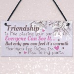 Friendship Sign Funny Birthday Keepsake Gift Hanging Wall Plaque