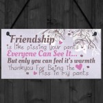 Friendship Sign Funny Birthday Keepsake Gift Hanging Wall Plaque