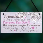 Friendship Sign Funny Birthday Keepsake Gift Hanging Wall Plaque