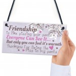 Friendship Sign Funny Birthday Keepsake Gift Hanging Wall Plaque