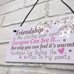 Friendship Sign Funny Birthday Keepsake Gift Hanging Wall Plaque