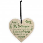 Colleague Fantastic Friend Wooden Heart Plaque Friendship Gift