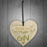 Novelty GIN Friendship Sign Wood Heart Plaque Gift For Friend 