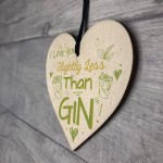 Novelty GIN Friendship Sign Wood Heart Plaque Gift For Friend 