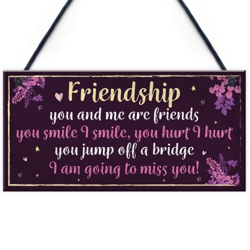 Funny Friendship Sign Hanging FRIEND Plaque Birthday Christmas