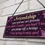 Funny Friendship Sign Hanging FRIEND Plaque Birthday Christmas