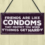 Funny Friendship Sign Best Friend Gift Novelty Birthday Plaque