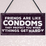 Funny Friendship Sign Best Friend Gift Novelty Birthday Plaque