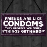 Funny Friendship Sign Best Friend Gift Novelty Birthday Plaque