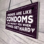 Funny Friendship Sign Best Friend Gift Novelty Birthday Plaque