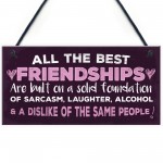 Friendship Sign Best Friend Plaque Funny Novelty Alcohol Gift 