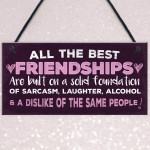 Friendship Sign Best Friend Plaque Funny Novelty Alcohol Gift 