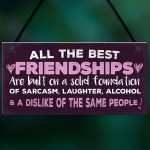 Friendship Sign Best Friend Plaque Funny Novelty Alcohol Gift 