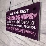 Friendship Sign Best Friend Plaque Funny Novelty Alcohol Gift 