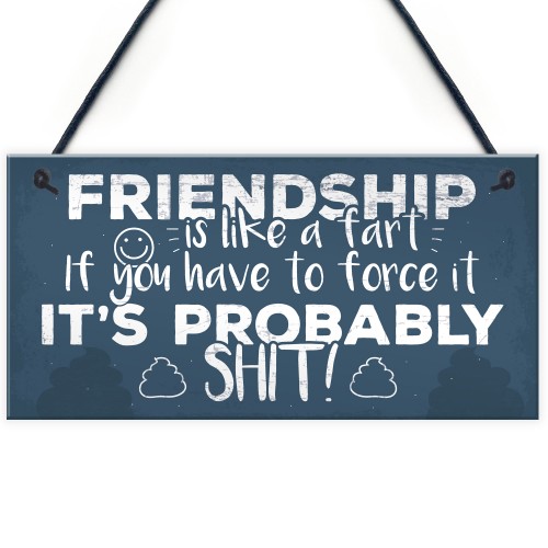 Funny Friendship Sign Novelty Best Friend Plaque Birthday Gift