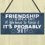 Funny Friendship Sign Novelty Best Friend Plaque Birthday Gift