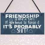 Funny Friendship Sign Novelty Best Friend Plaque Birthday Gift