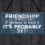 Funny Friendship Sign Novelty Best Friend Plaque Birthday Gift