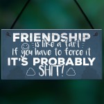 Funny Friendship Sign Novelty Best Friend Plaque Birthday Gift