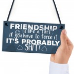 Funny Friendship Sign Novelty Best Friend Plaque Birthday Gift