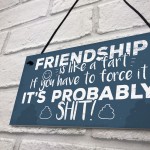 Funny Friendship Sign Novelty Best Friend Plaque Birthday Gift