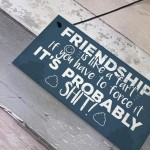 Funny Friendship Sign Novelty Best Friend Plaque Birthday Gift