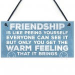 Novelty Best Friend Sign Friendship Funny Rude Gift Novelty Sign