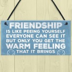 Novelty Best Friend Sign Friendship Funny Rude Gift Novelty Sign