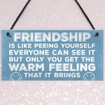 Novelty Best Friend Sign Friendship Funny Rude Gift Novelty Sign