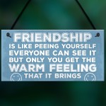 Novelty Best Friend Sign Friendship Funny Rude Gift Novelty Sign