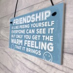 Novelty Best Friend Sign Friendship Funny Rude Gift Novelty Sign