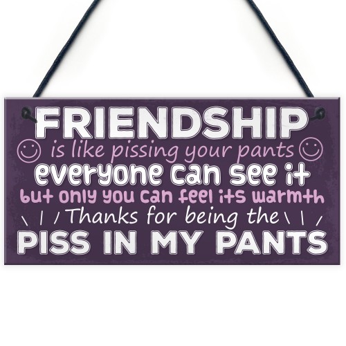 Funny Friendship Gift Best Friend Sign Novelty Birthday Gifts