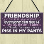 Funny Friendship Gift Best Friend Sign Novelty Birthday Gifts