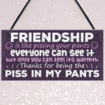 Funny Friendship Gift Best Friend Sign Novelty Birthday Gifts