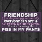 Funny Friendship Gift Best Friend Sign Novelty Birthday Gifts