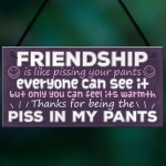 Funny Friendship Gift Best Friend Sign Novelty Birthday Gifts