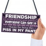 Funny Friendship Gift Best Friend Sign Novelty Birthday Gifts